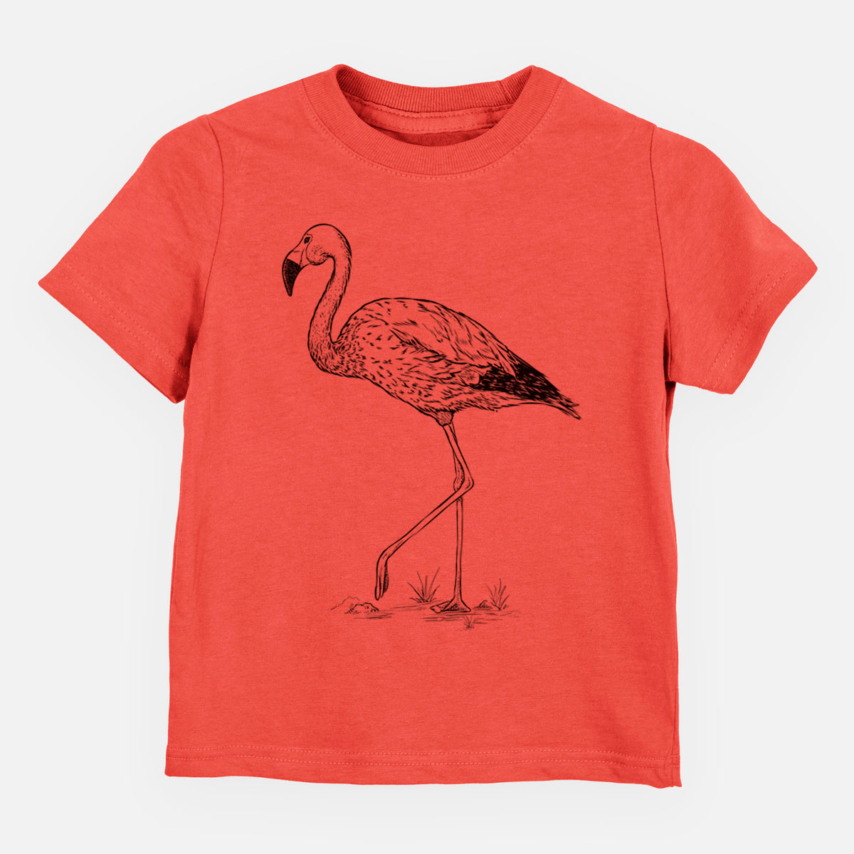 Andean Flamingo - Phoenicoparrus andinus - Toddler/Youth Shirt