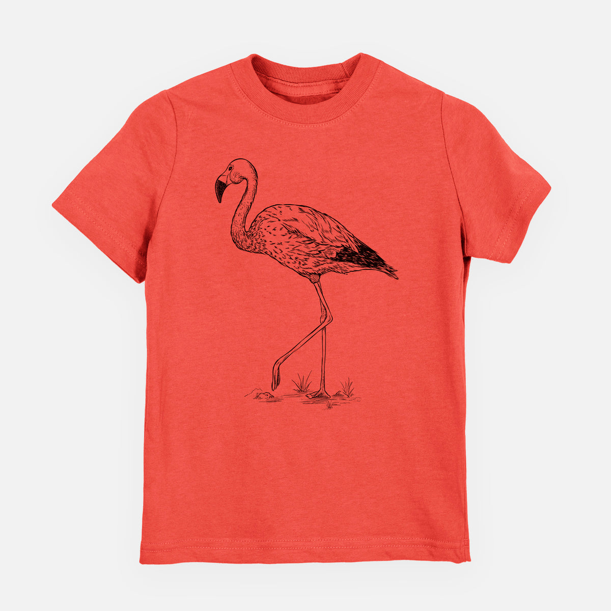 Andean Flamingo - Phoenicoparrus andinus - Toddler/Youth Shirt