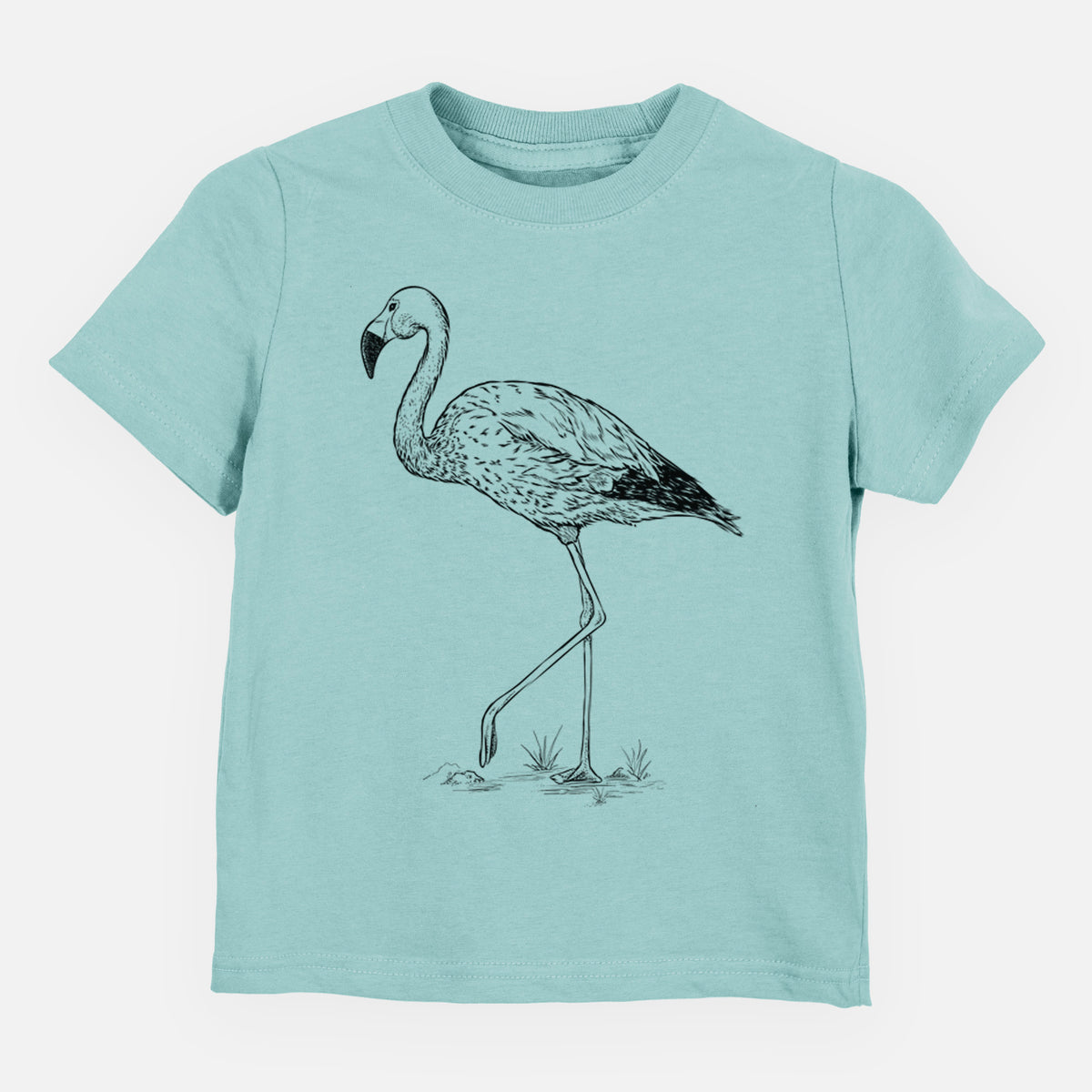 Andean Flamingo - Phoenicoparrus andinus - Toddler/Youth Shirt