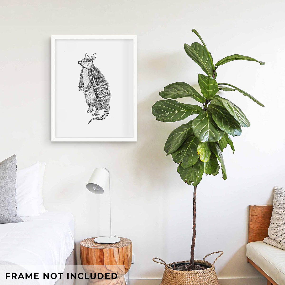 Nine-Banded Armadillo - Dasypus novemcinctus - Fine Art Print