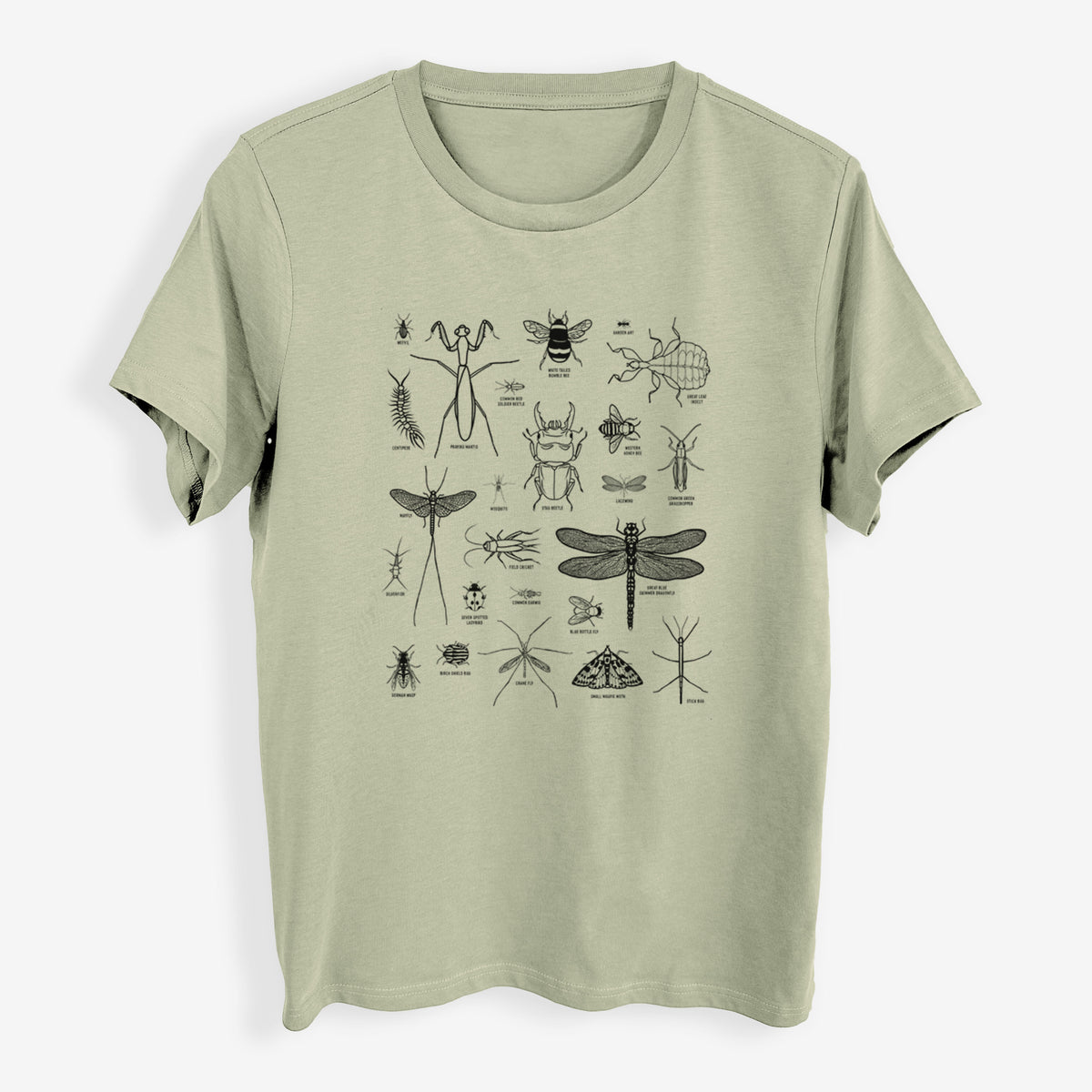 Chart of Arthropods/Insects - Womens Everyday Maple Tee