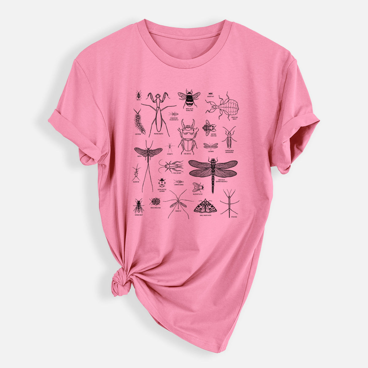 Chart of Arthropods/Insects - Mens Everyday Staple Tee
