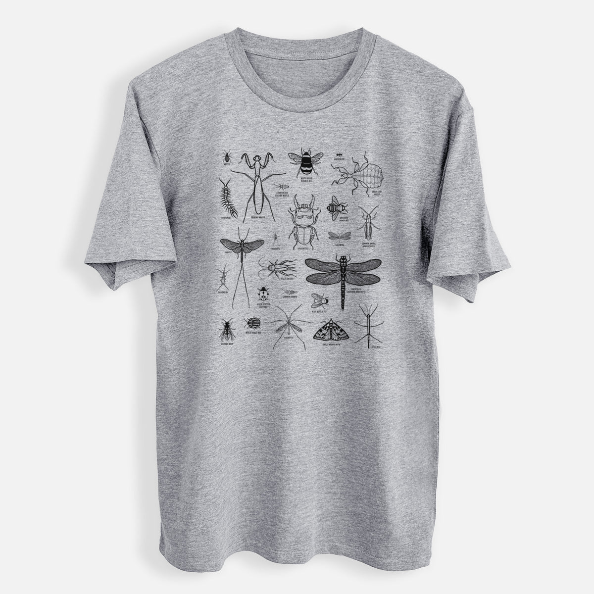 Chart of Arthropods/Insects - Mens Everyday Staple Tee