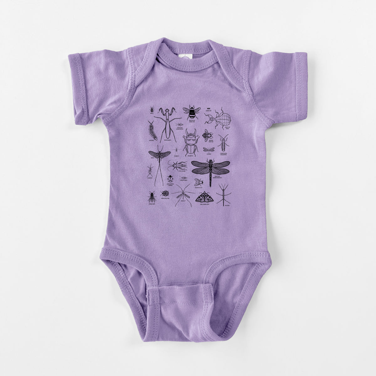 Chart of Arthropods/Insects - Baby Fine Jersey Bodysuit