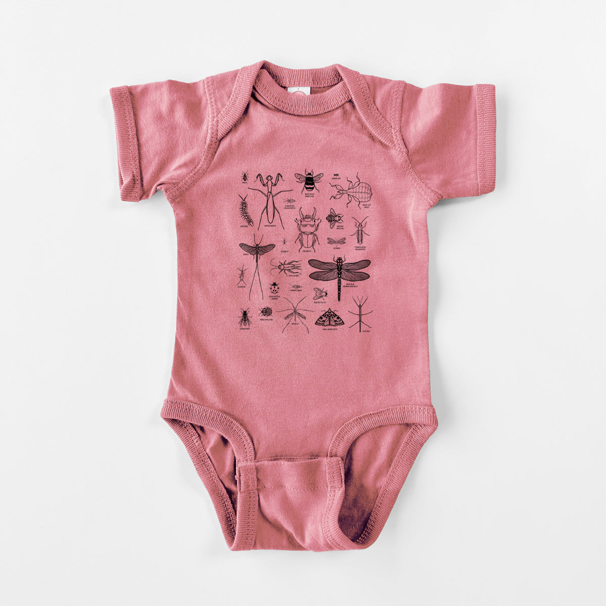 Chart of Arthropods/Insects - Baby Fine Jersey Bodysuit