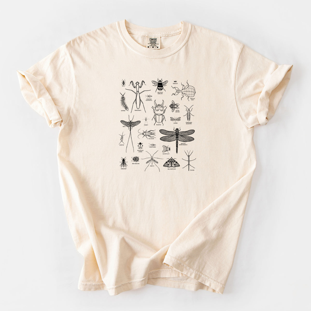 Chart of Arthropods/Insects - Unisex Comfort Colors Garment-Dyed Heavyweight T-shirt