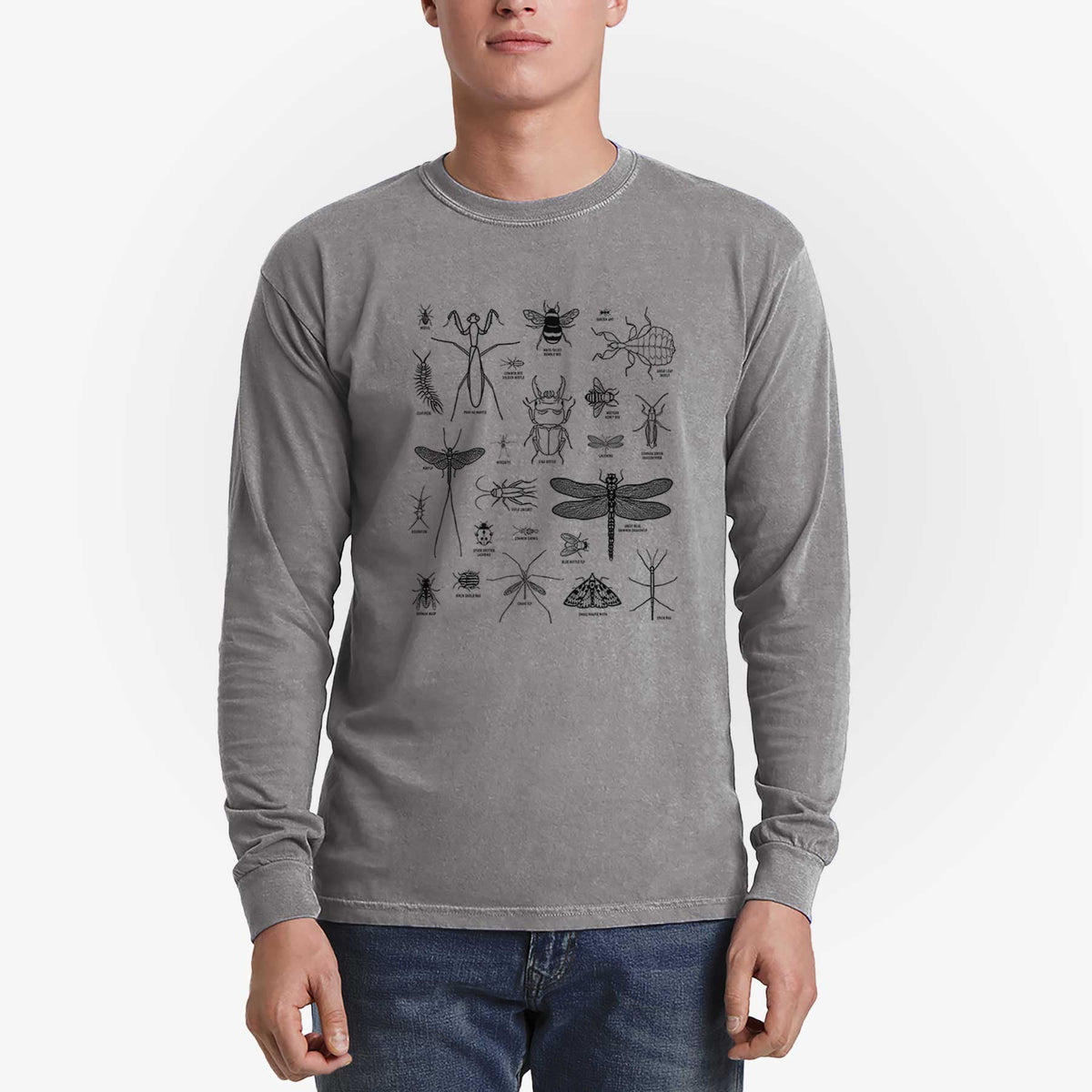 Chart of Arthropods/Insects - Men&#39;s Heavyweight 100% Cotton Long Sleeve