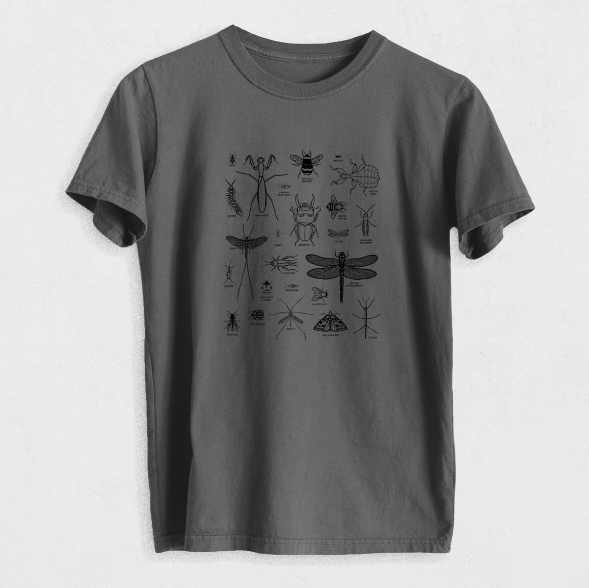 Chart of Arthropods/Insects - Heavyweight Men&#39;s 100% Organic Cotton Tee