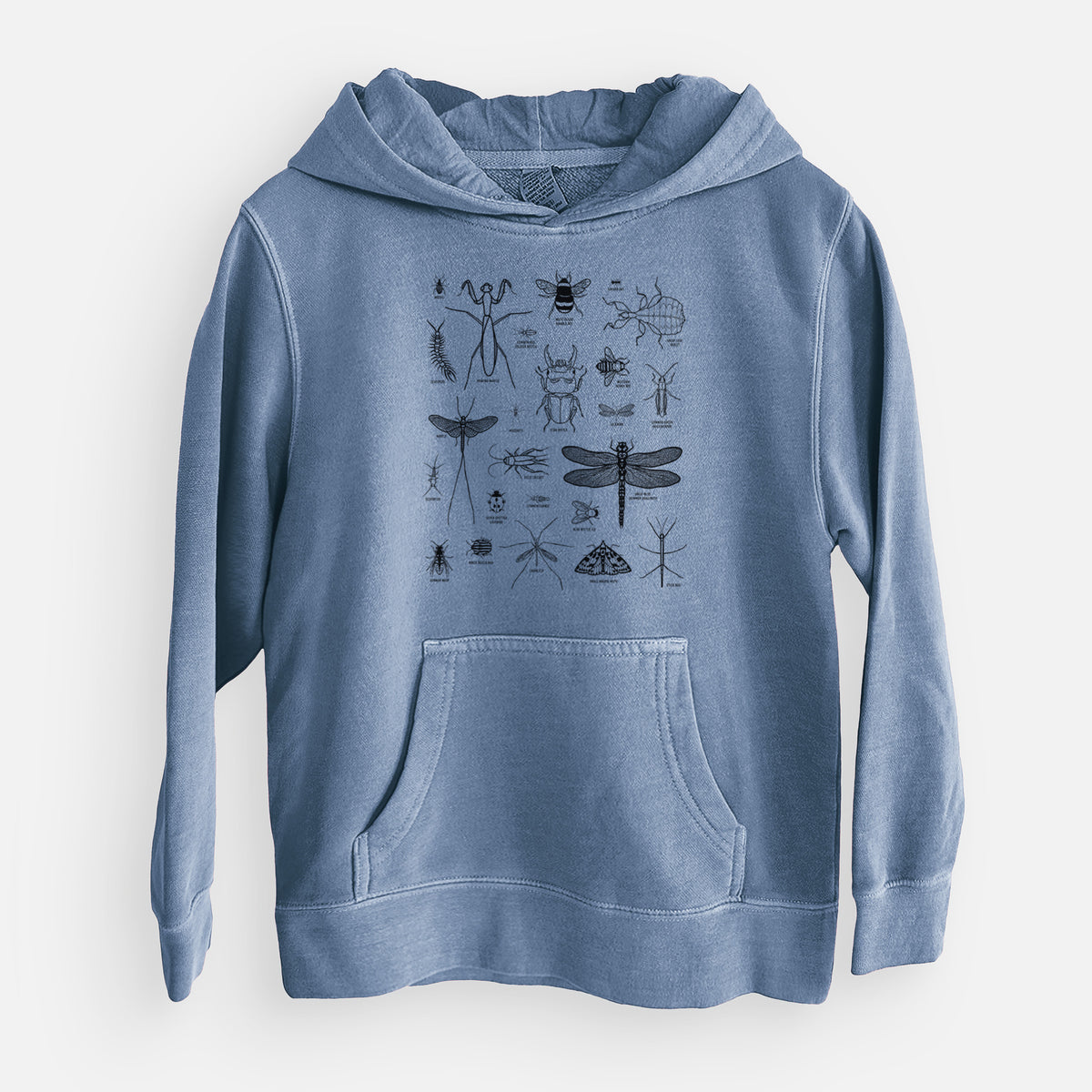 Chart of Arthropods/Insects - Youth Pigment Dyed Hoodie