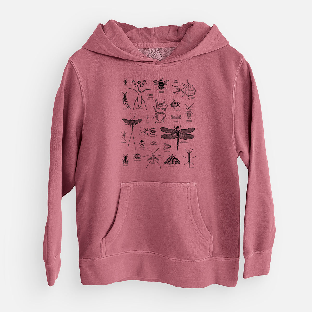 Chart of Arthropods/Insects - Youth Pigment Dyed Hoodie