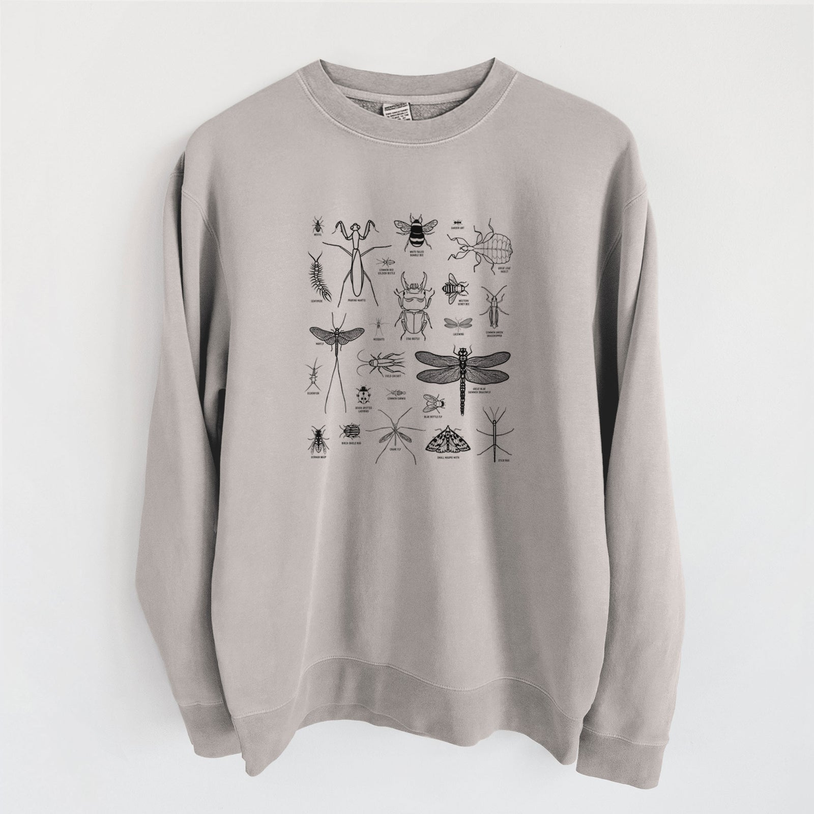 Chart of Arthropods/Insects - Unisex Pigment Dyed Crew Sweatshirt in Cement