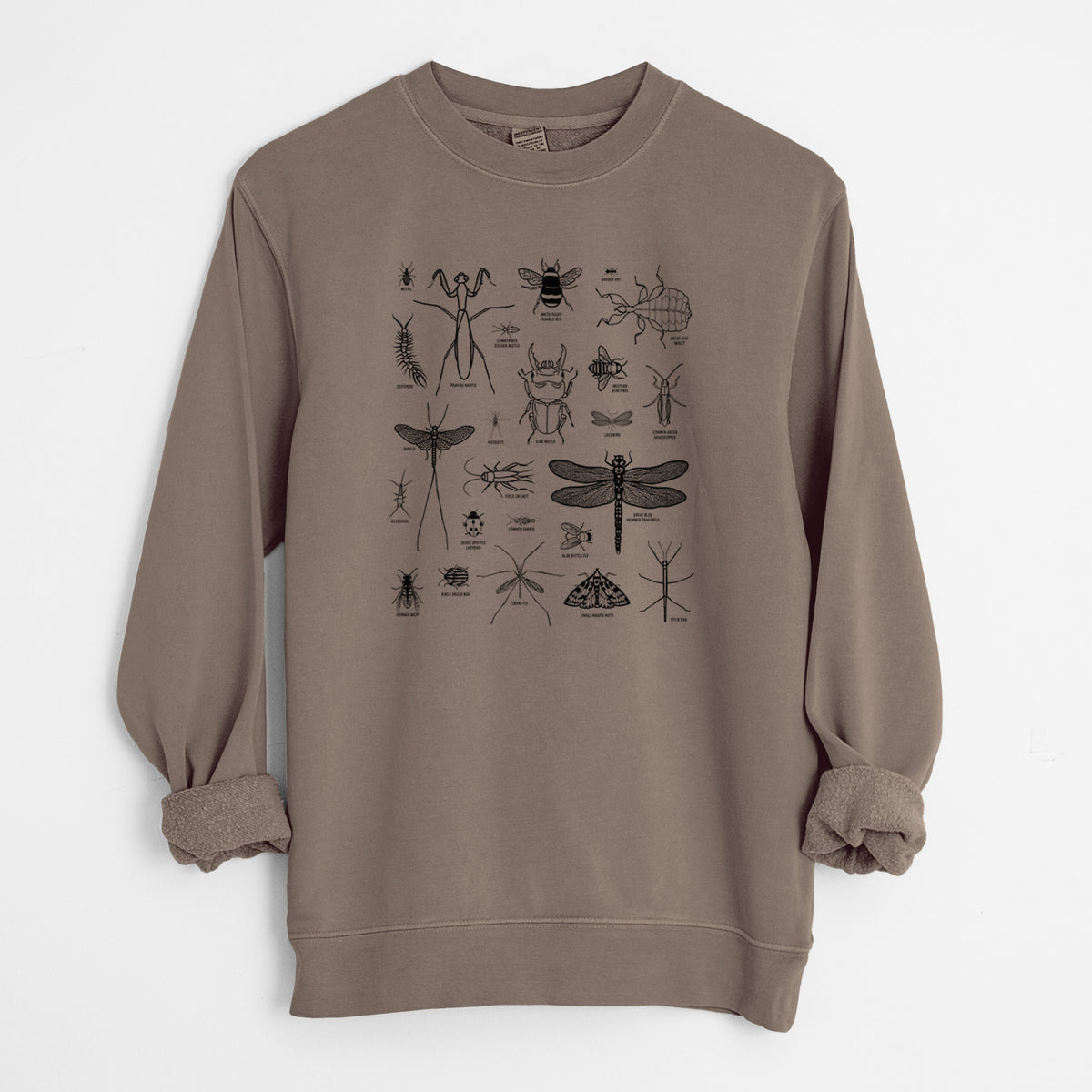 Chart of Arthropods/Insects - Unisex Pigment Dyed Crew Sweatshirt in Espresso Brown Color
