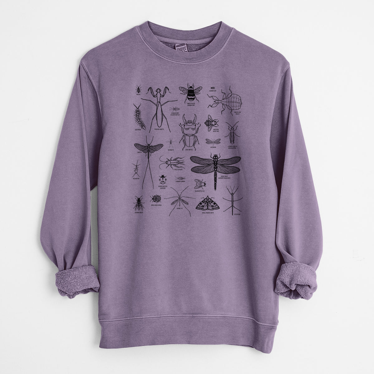 Chart of Arthropods/Insects - Unisex Pigment Dyed Crew Sweatshirt