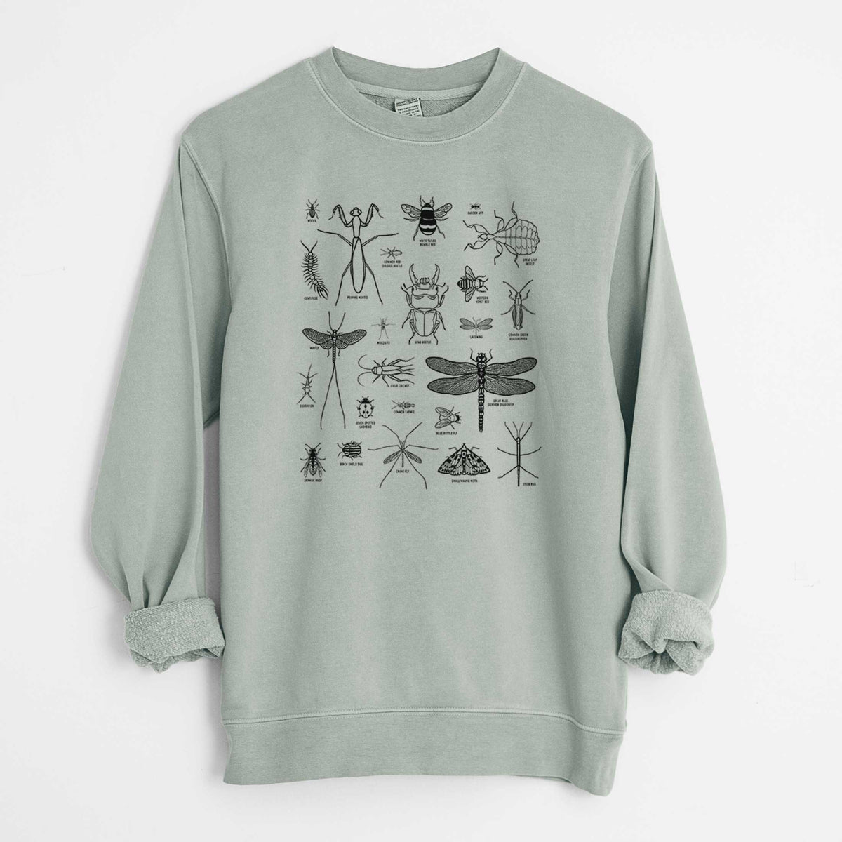 Chart of Arthropods/Insects - Unisex Pigment Dyed Crew Sweatshirt