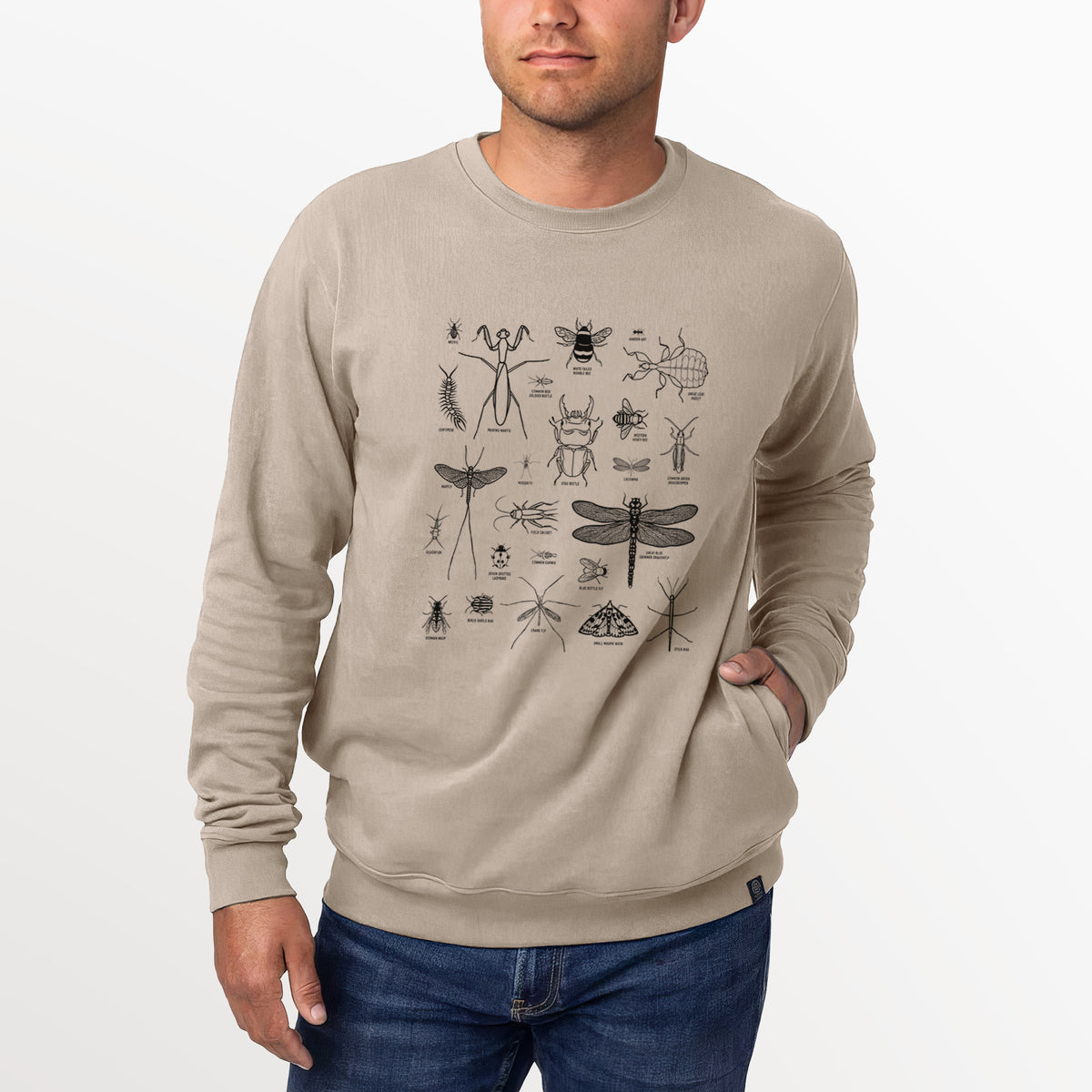 Chart of Arthropods/Insects  - Unisex Reclaimed Crewneck Sweatshirt