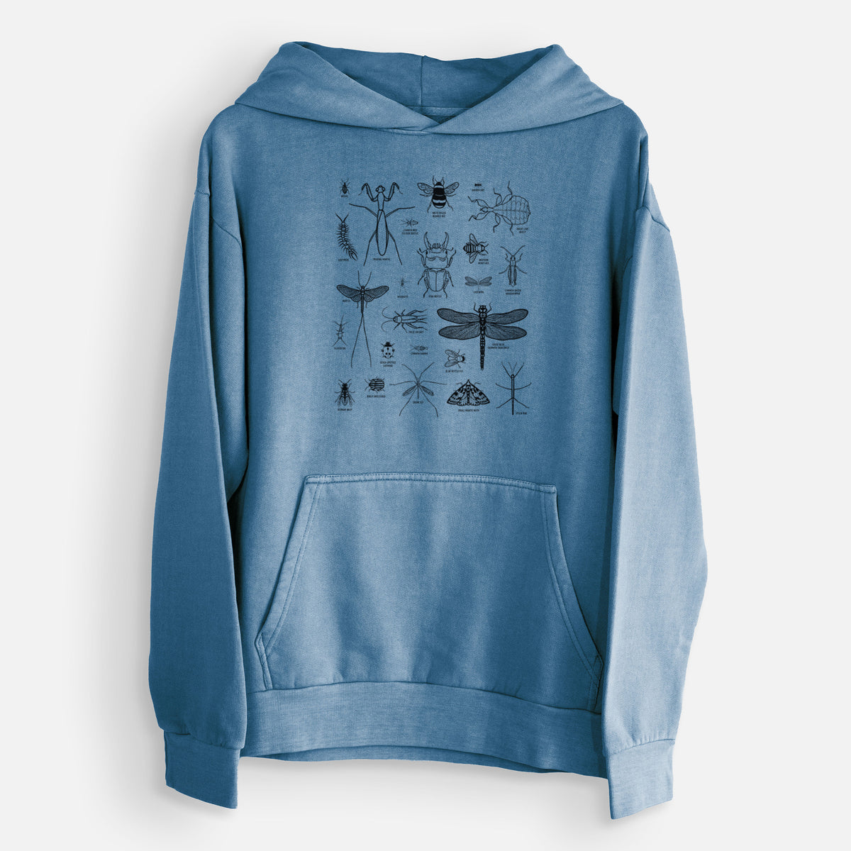 Chart of Arthropods/Insects  - Urban Heavyweight Hoodie