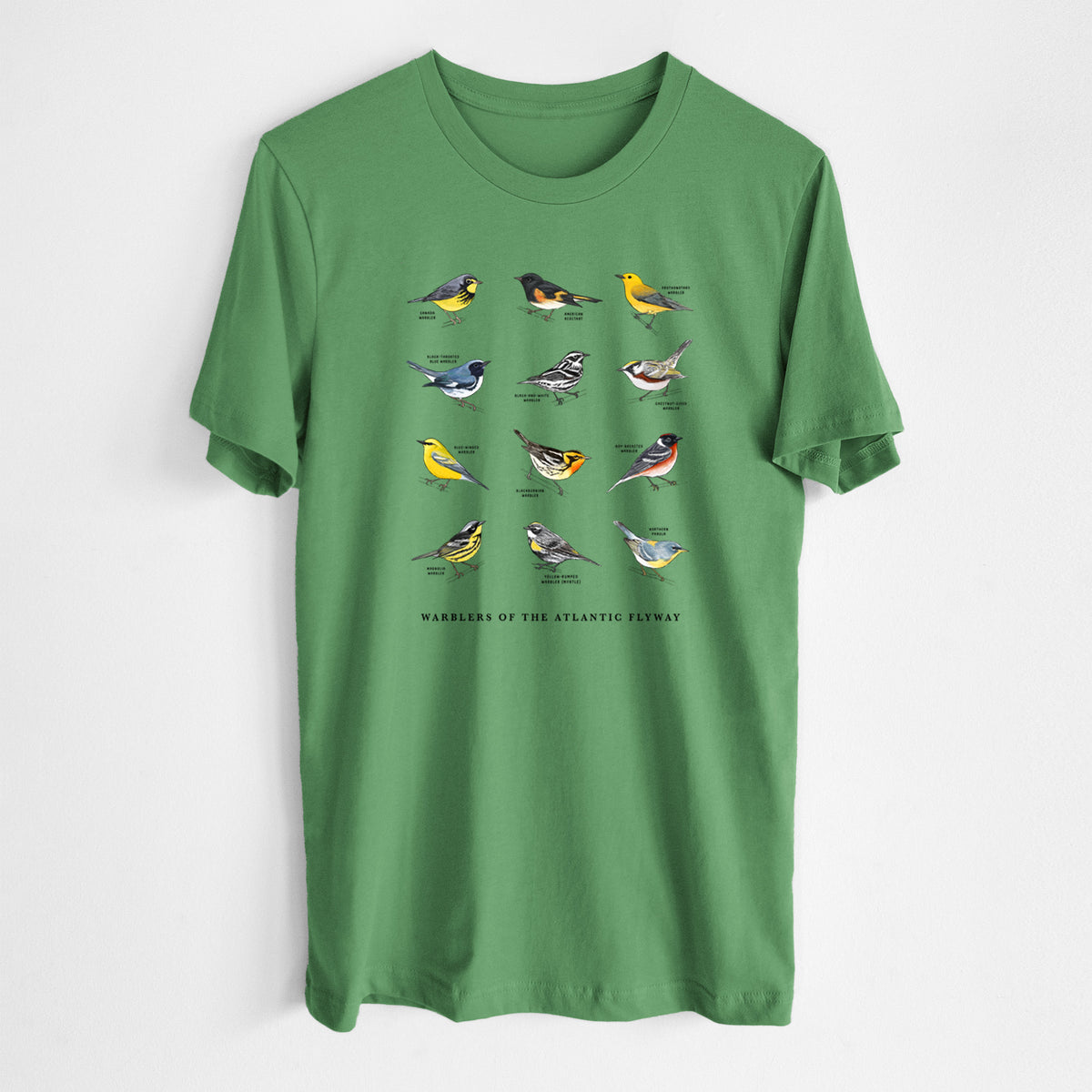 Warblers of the Atlantic Flyway - Lightweight 100% Cotton Unisex Crewneck