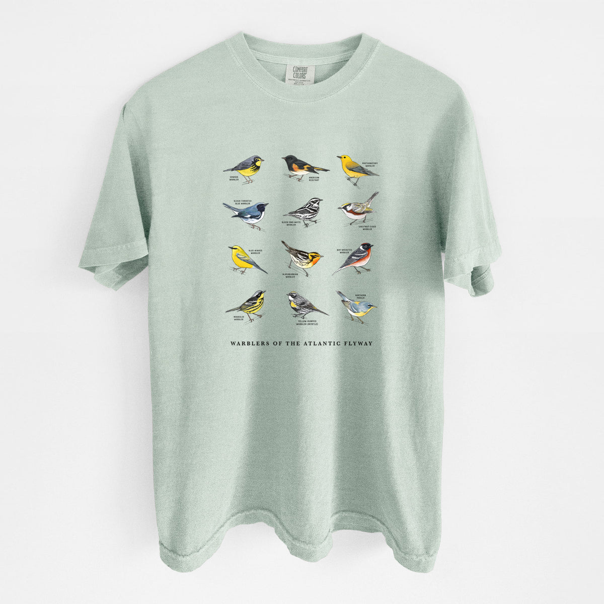Warblers of the Atlantic Flyway - Unisex Comfort Colors Garment-Dyed Heavyweight T-shirt