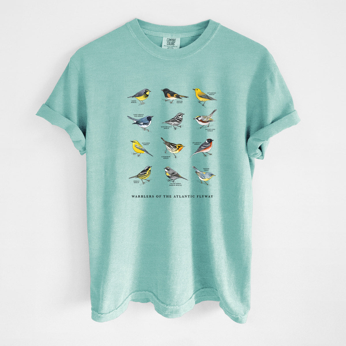 Warblers of the Atlantic Flyway - Unisex Comfort Colors Garment-Dyed Heavyweight T-shirt