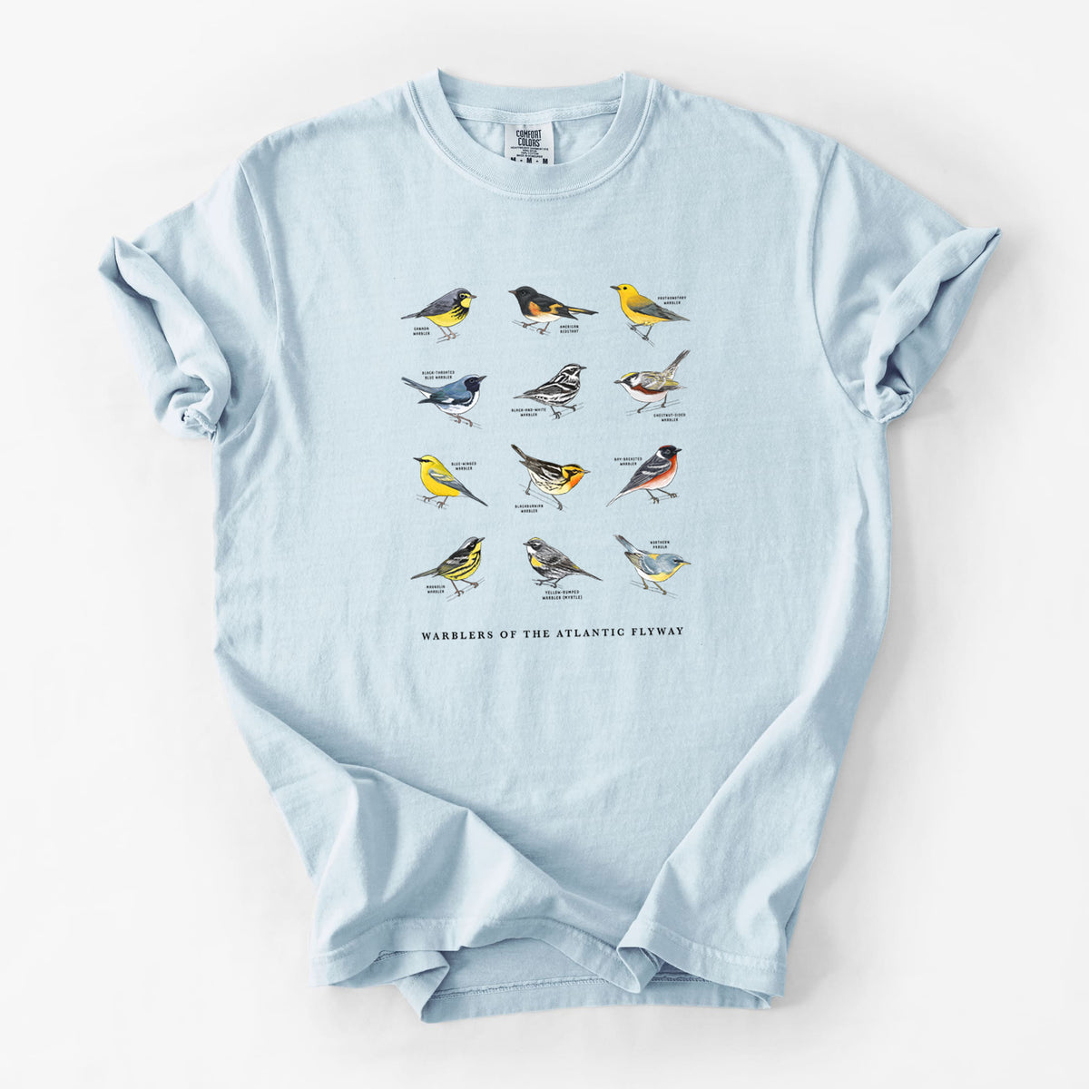 Warblers of the Atlantic Flyway - Unisex Comfort Colors Garment-Dyed Heavyweight T-shirt