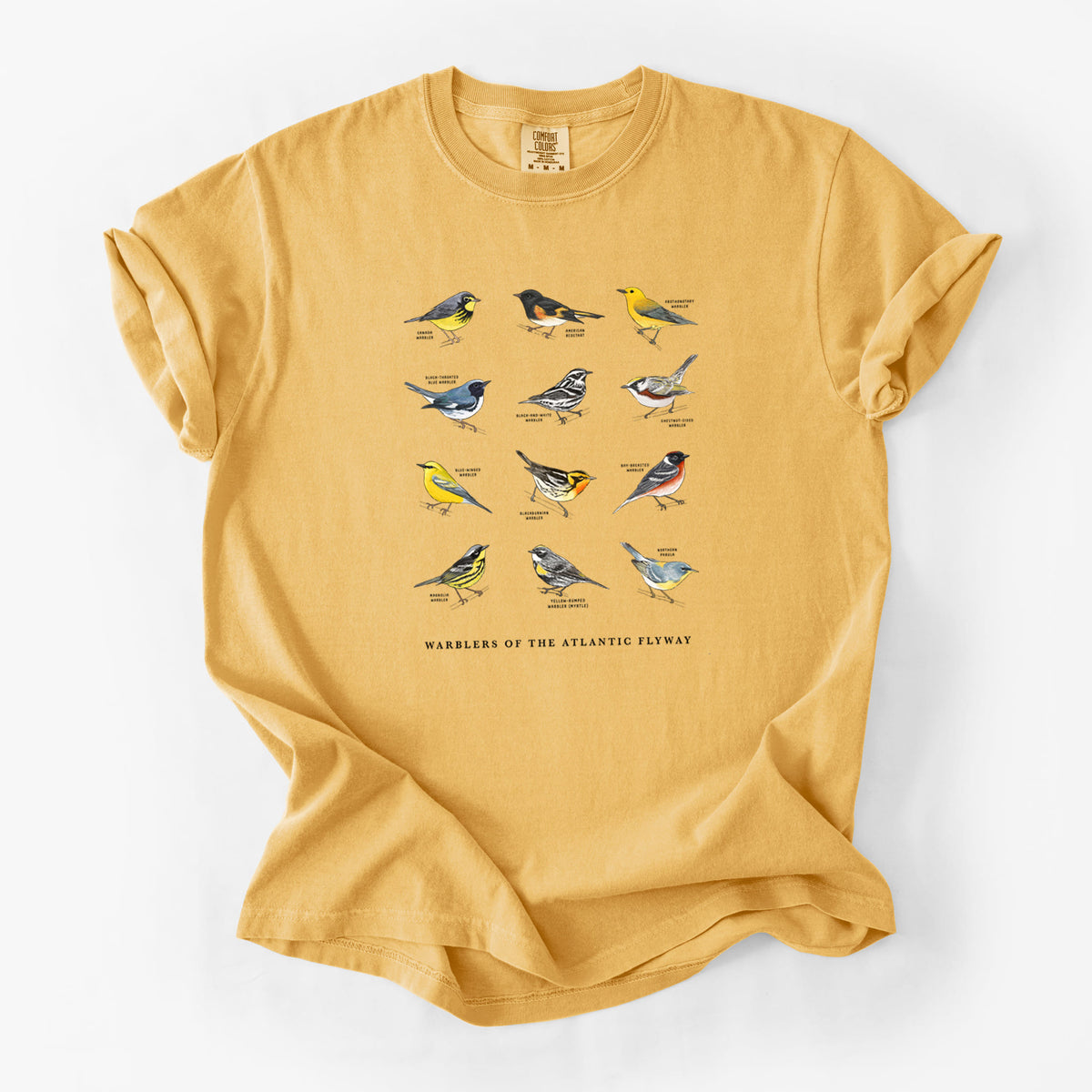 Warblers of the Atlantic Flyway - Unisex Comfort Colors Garment-Dyed Heavyweight T-shirt