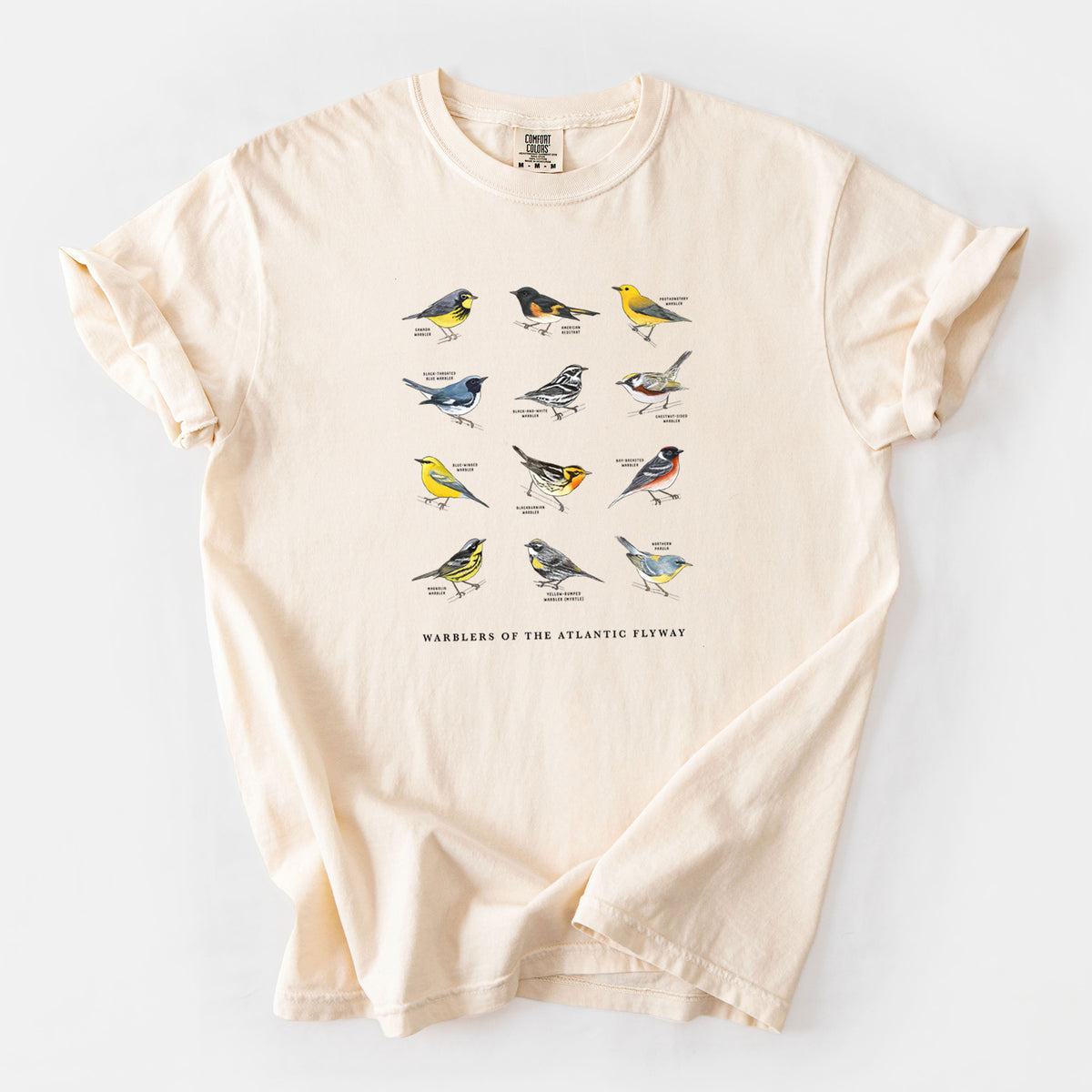 Warblers of the Atlantic Flyway - Unisex Comfort Colors Garment-Dyed Heavyweight T-shirt
