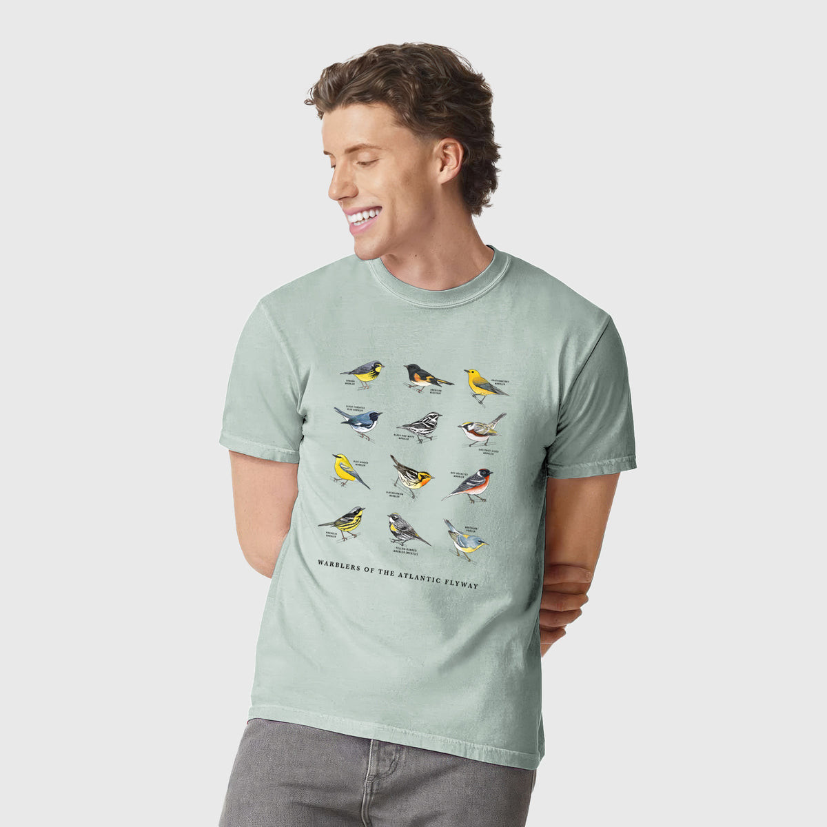 Warblers of the Atlantic Flyway - Unisex Comfort Colors Garment-Dyed Heavyweight T-shirt