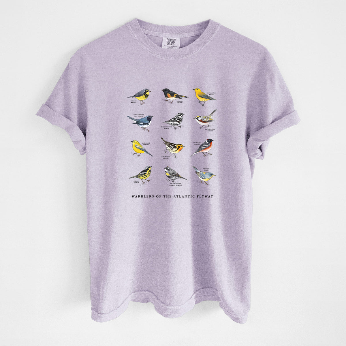 Warblers of the Atlantic Flyway - Unisex Comfort Colors Garment-Dyed Heavyweight T-shirt
