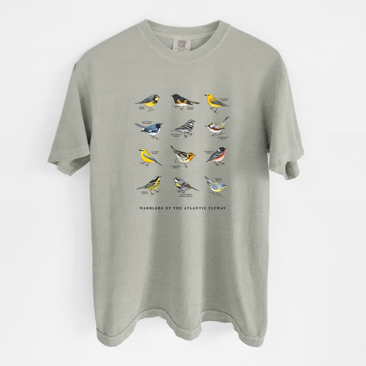 Warblers of the Atlantic Flyway - Unisex Comfort Colors Garment-Dyed Heavyweight T-shirt