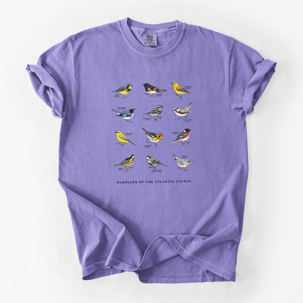Warblers of the Atlantic Flyway - Unisex Comfort Colors Garment-Dyed Heavyweight T-shirt