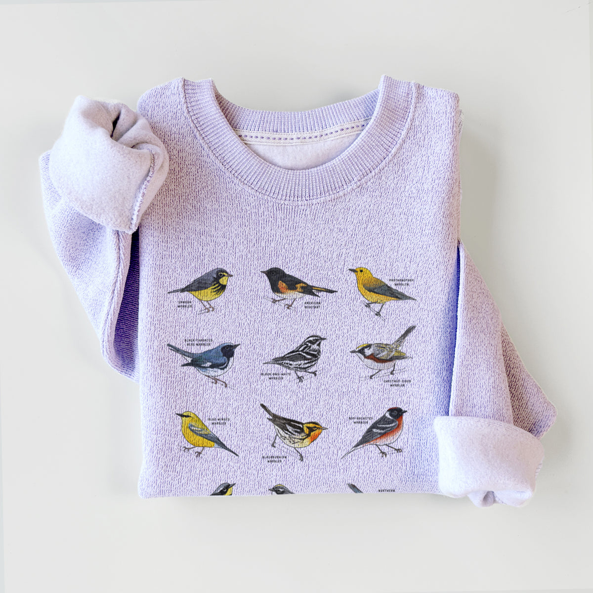 Warblers of the Atlantic Flyway - Knit Sweatshirt