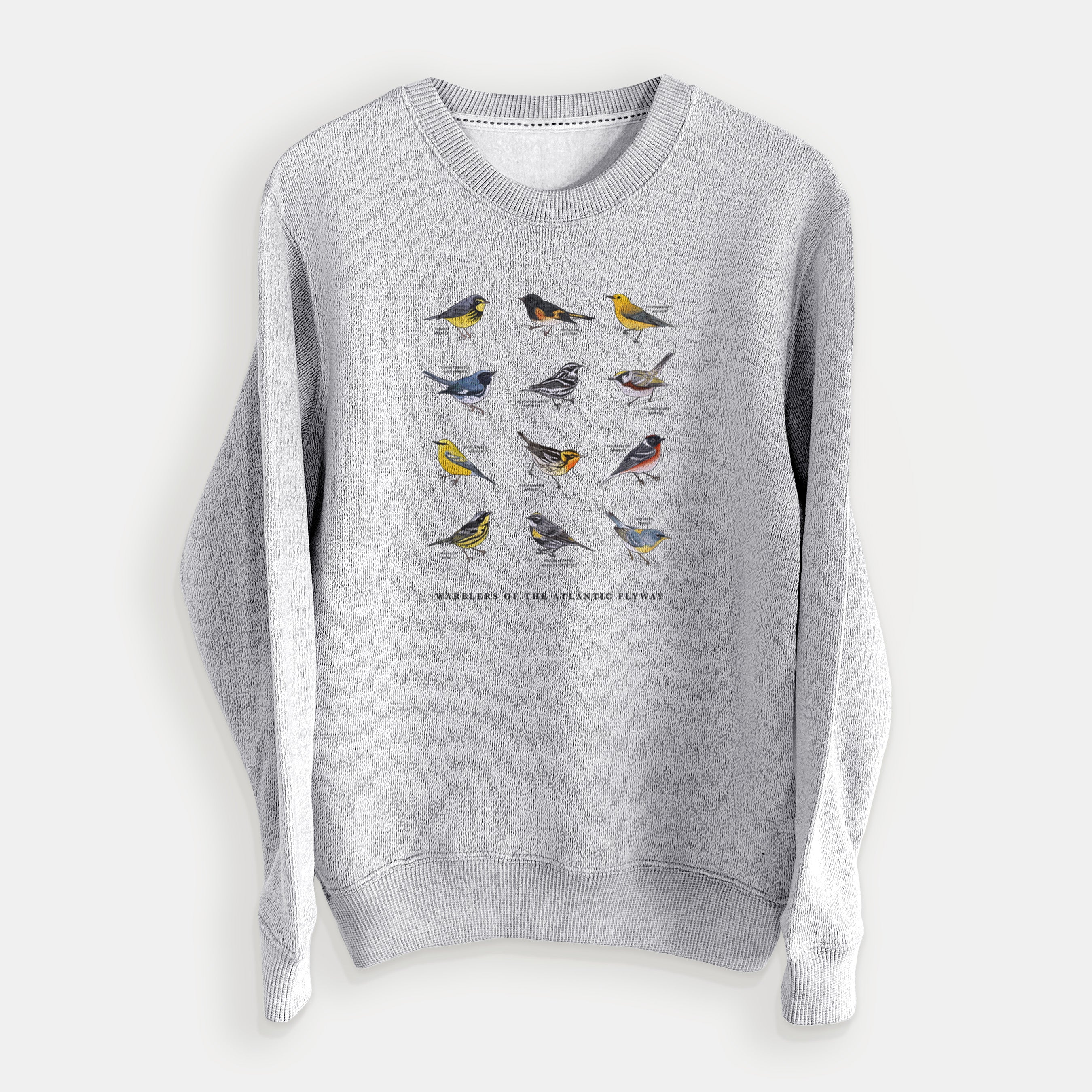 Warblers of the Atlantic Flyway - Knit Sweatshirt
