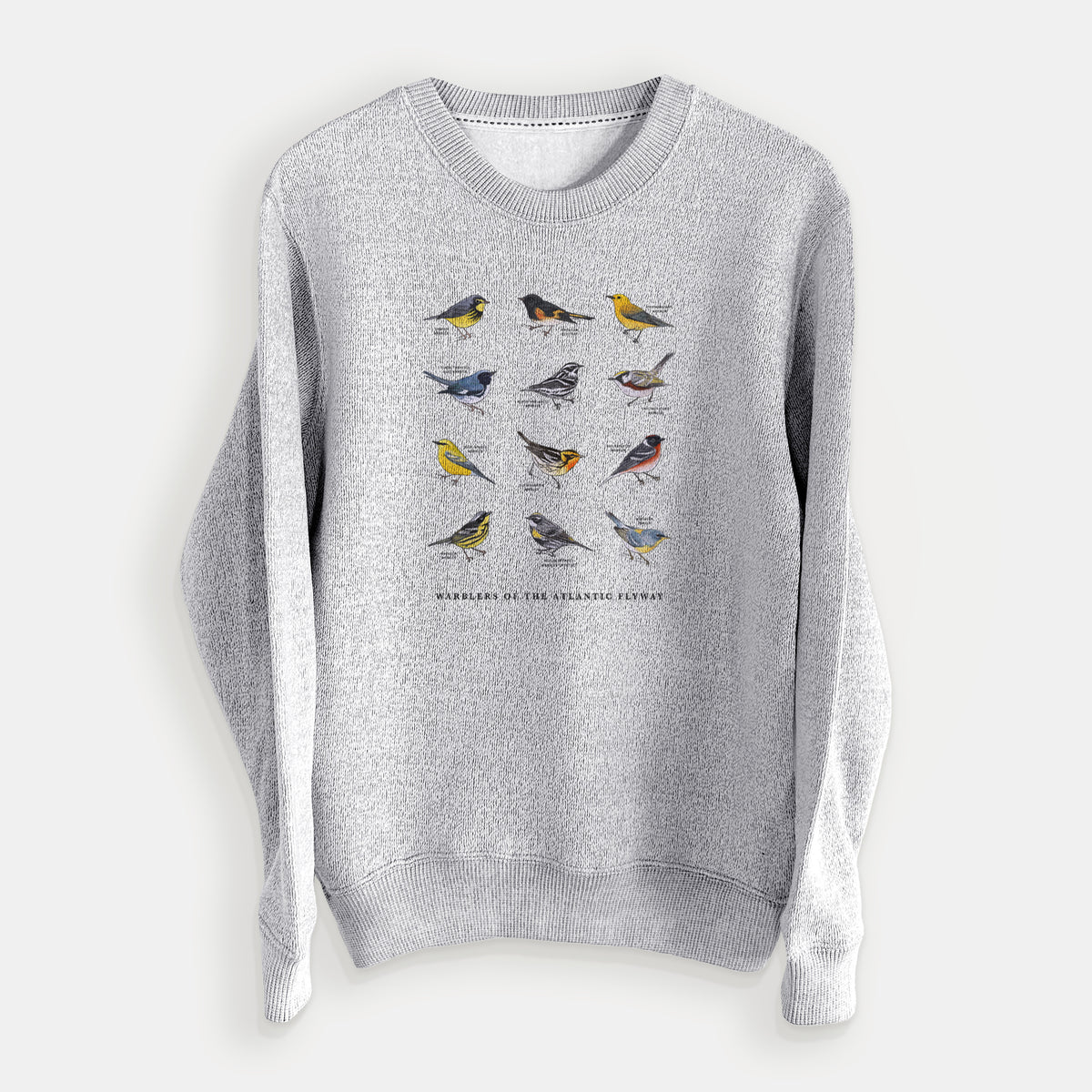 Warblers of the Atlantic Flyway - Knit Sweatshirt