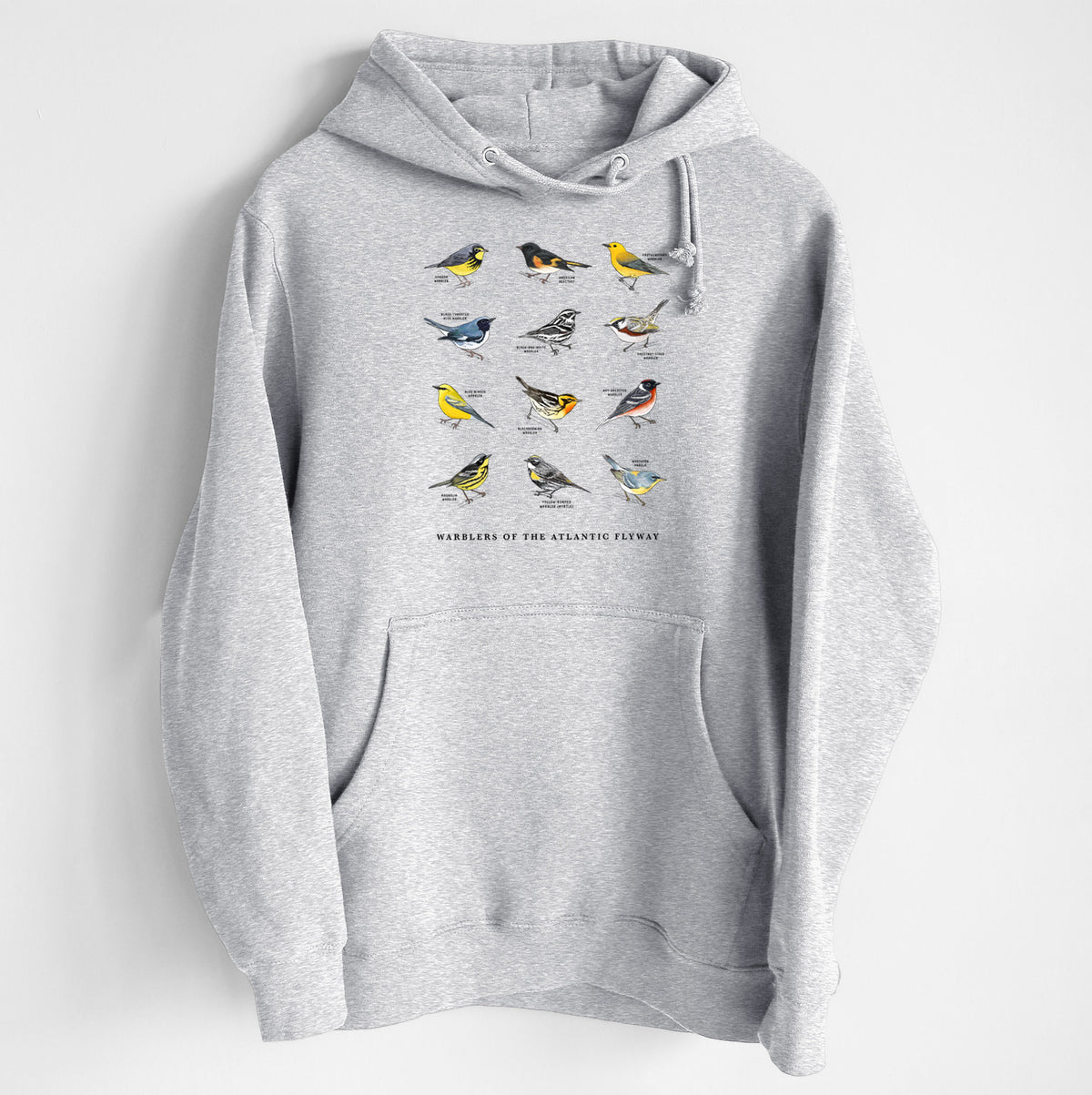 Warblers of the Atlantic Flyway - Heavyweight Fleece Hoodie