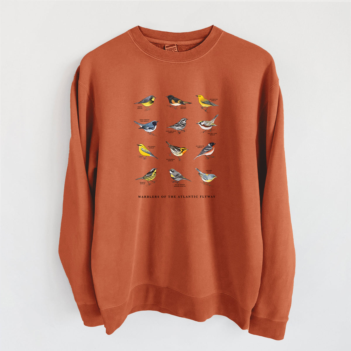 Warblers of the Atlantic Flyway - Unisex Pigment Dyed Crew Sweatshirt