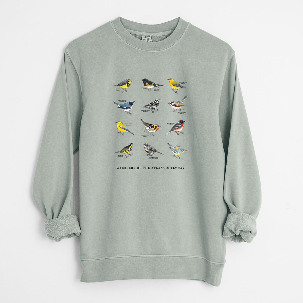 Warblers of the Atlantic Flyway - Unisex Pigment Dyed Crew Sweatshirt