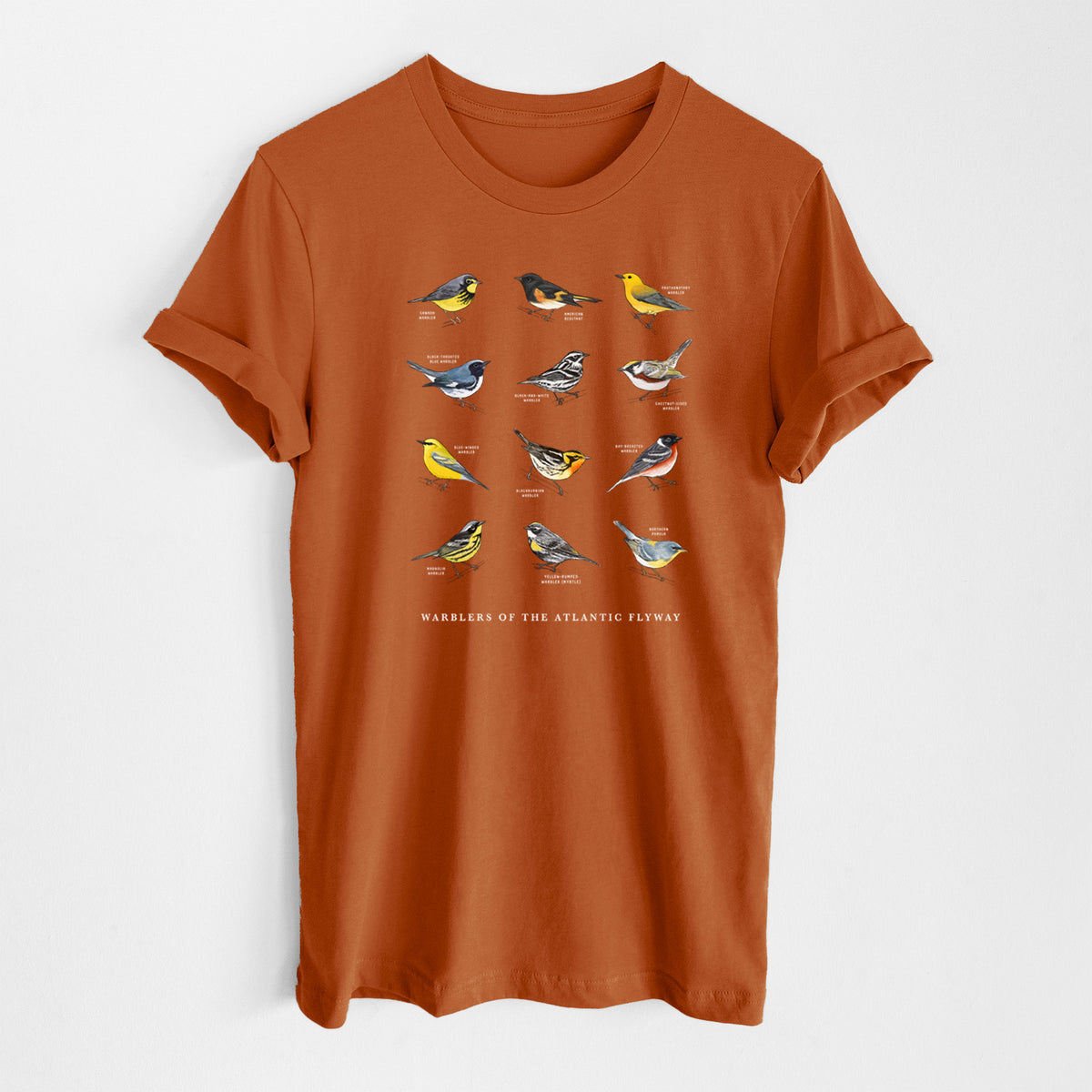 Warblers of the Atlantic Flyway - Lightweight 100% Cotton Unisex Crewneck