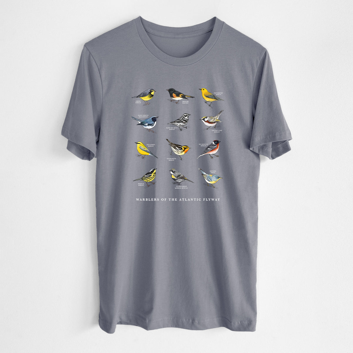 Warblers of the Atlantic Flyway - Lightweight 100% Cotton Unisex Crewneck