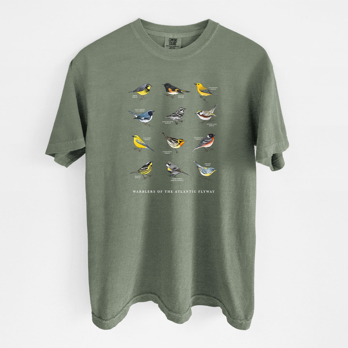 Warblers of the Atlantic Flyway - Unisex Comfort Colors Garment-Dyed Heavyweight T-shirt