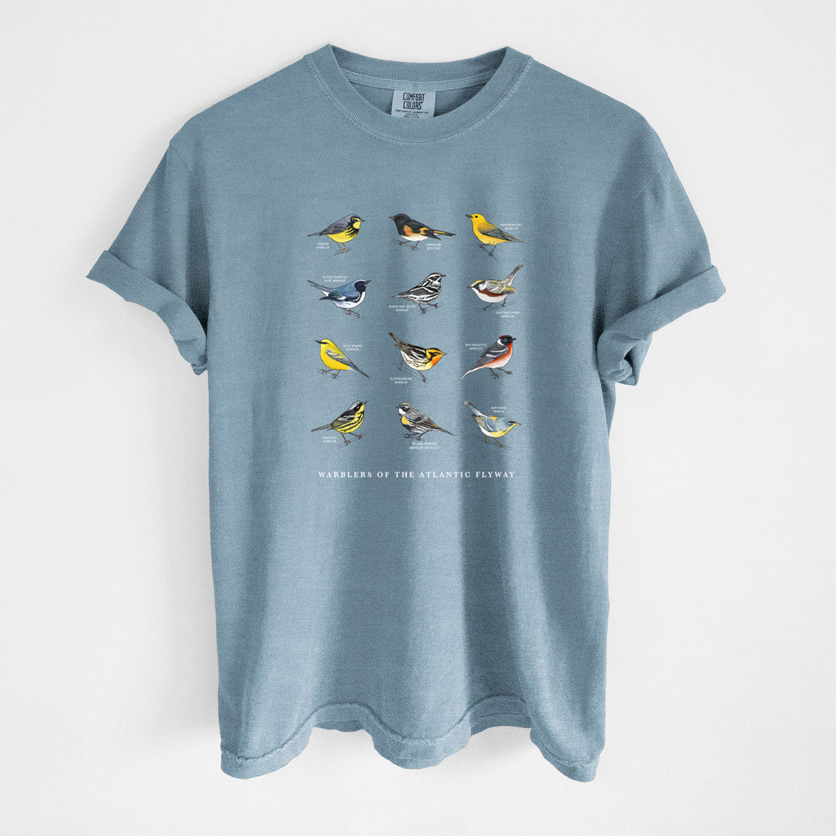 Warblers of the Atlantic Flyway - Unisex Comfort Colors Garment-Dyed Heavyweight T-shirt