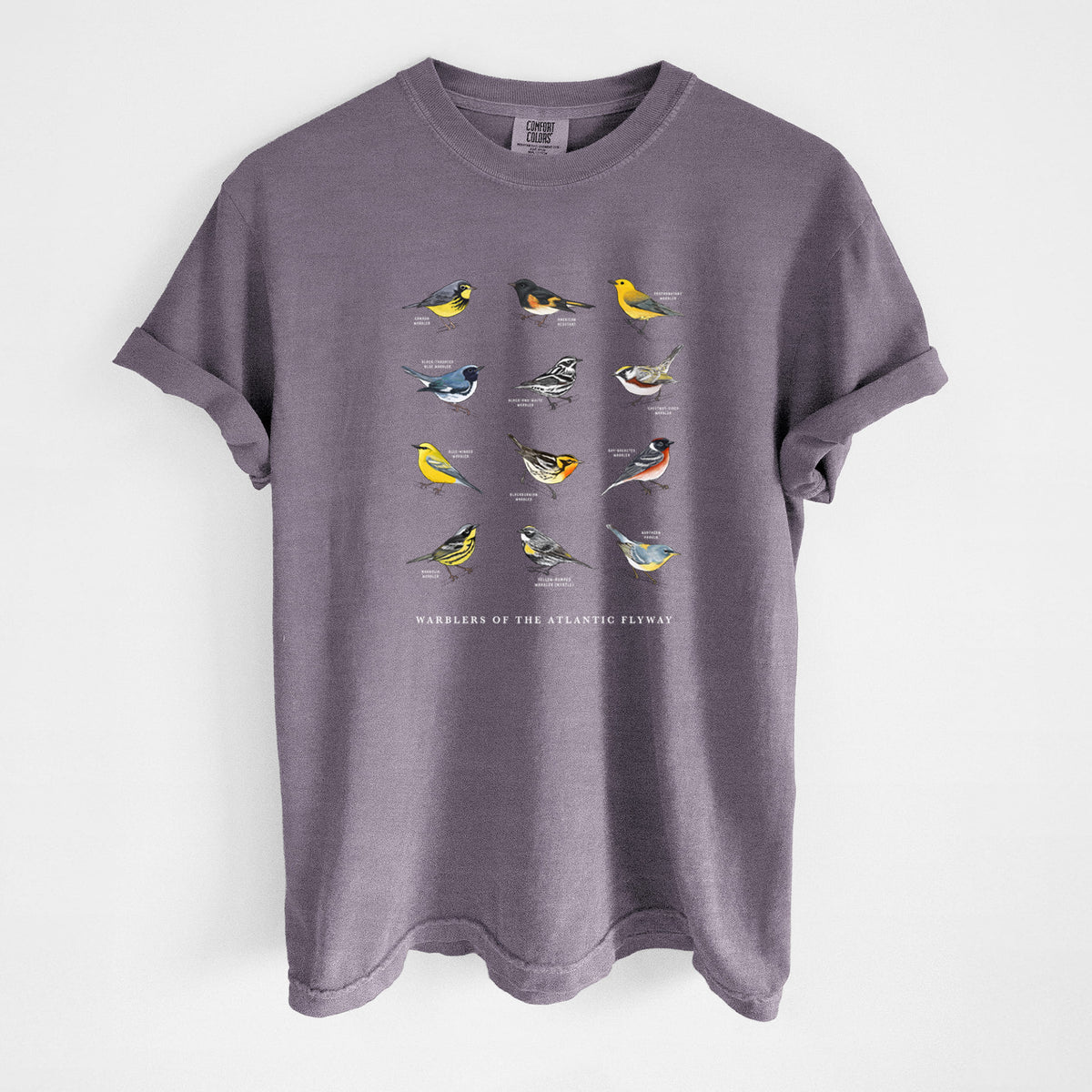 Warblers of the Atlantic Flyway - Unisex Comfort Colors Garment-Dyed Heavyweight T-shirt