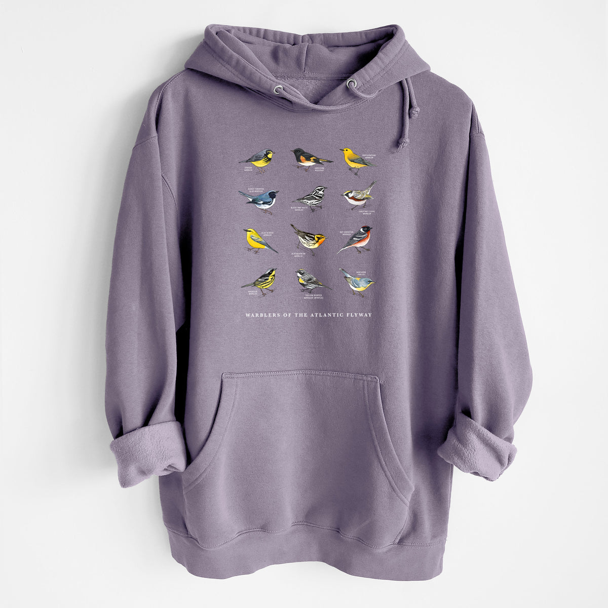 Warblers of the Atlantic Flyway - Heavyweight Fleece Hoodie