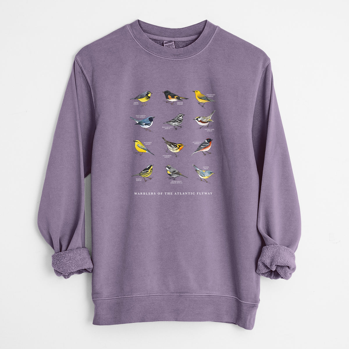 Warblers of the Atlantic Flyway - Unisex Pigment Dyed Crew Sweatshirt