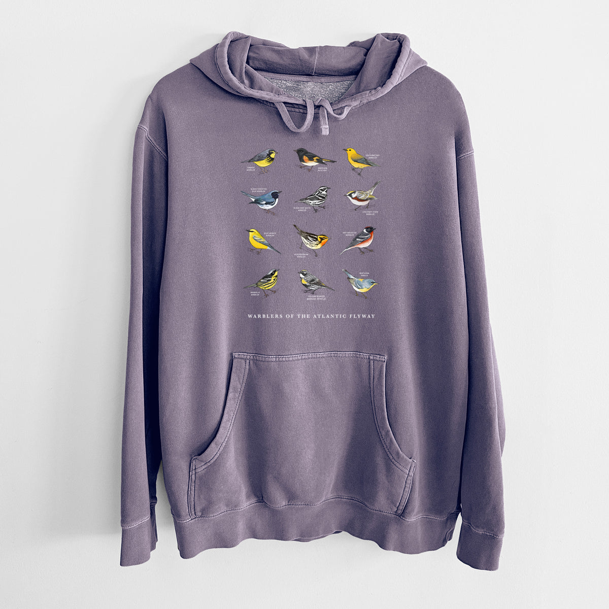 Warblers of the Atlantic Flyway - Unisex Pigment Dyed Hoodie