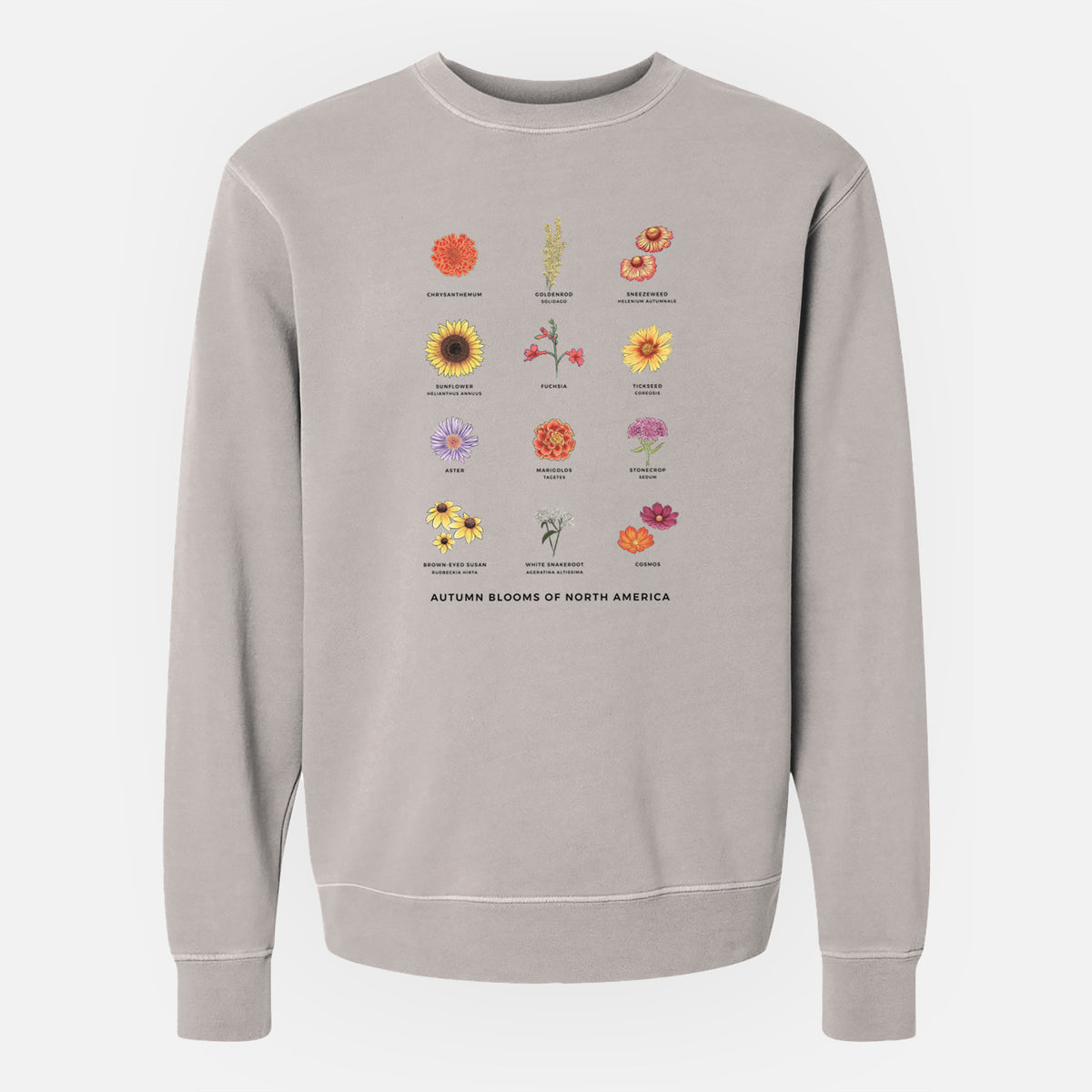 Autumn Blooms of North America - Unisex Pigment Dyed Crew Sweatshirt