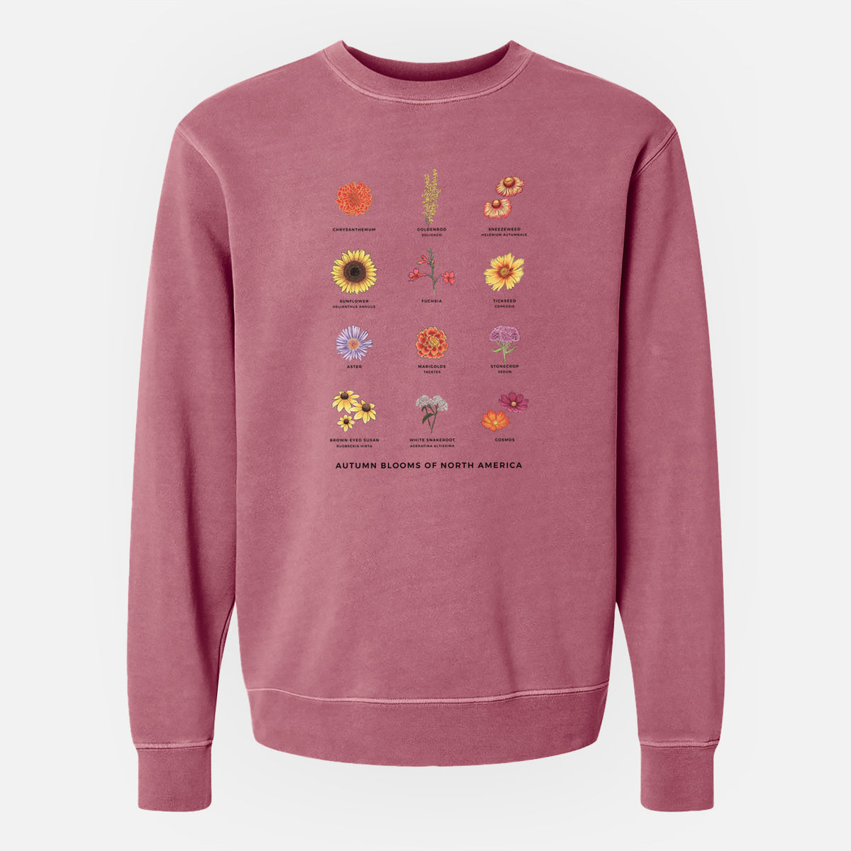 Autumn Blooms of North America - Unisex Pigment Dyed Crew Sweatshirt