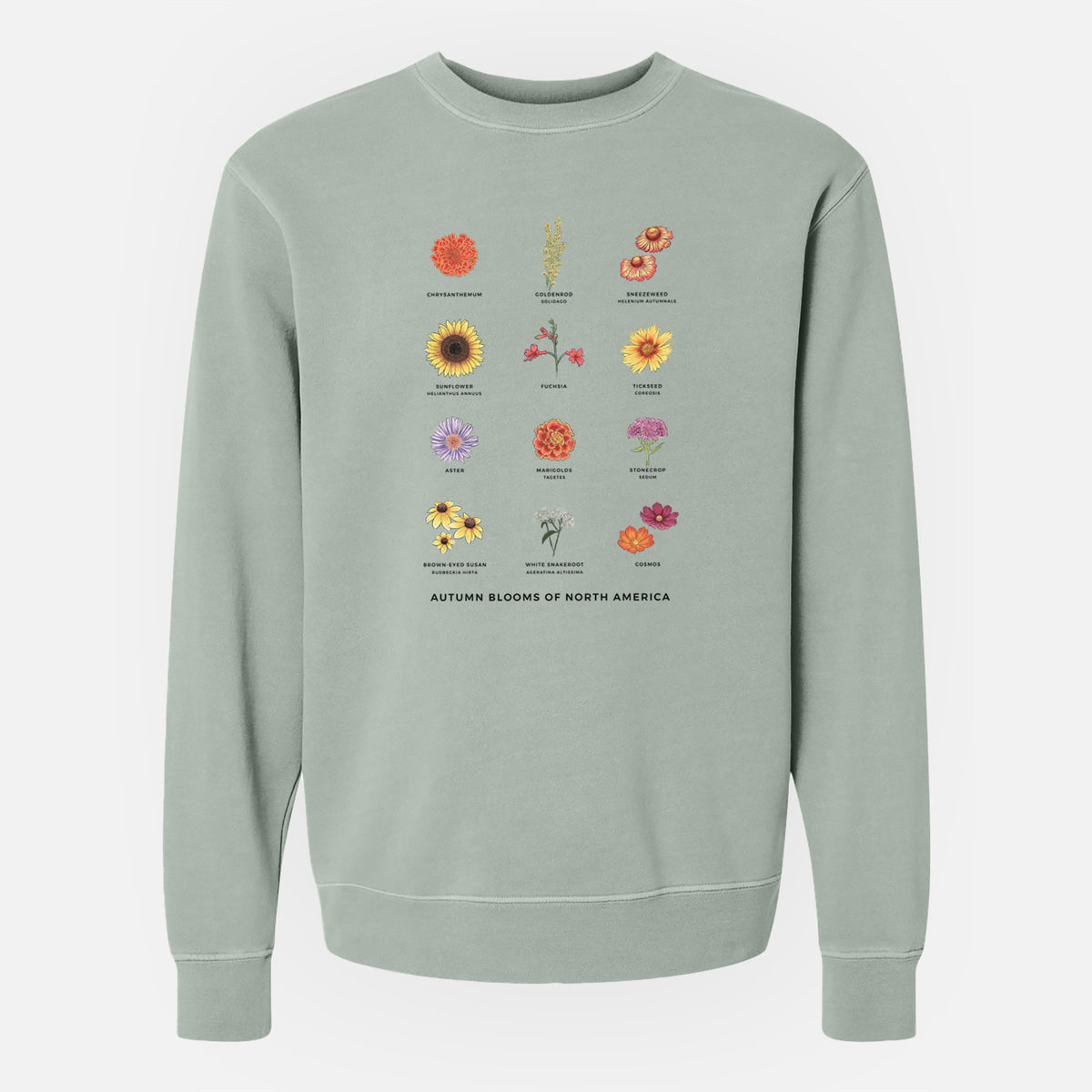 Autumn Blooms of North America - Unisex Pigment Dyed Crew Sweatshirt