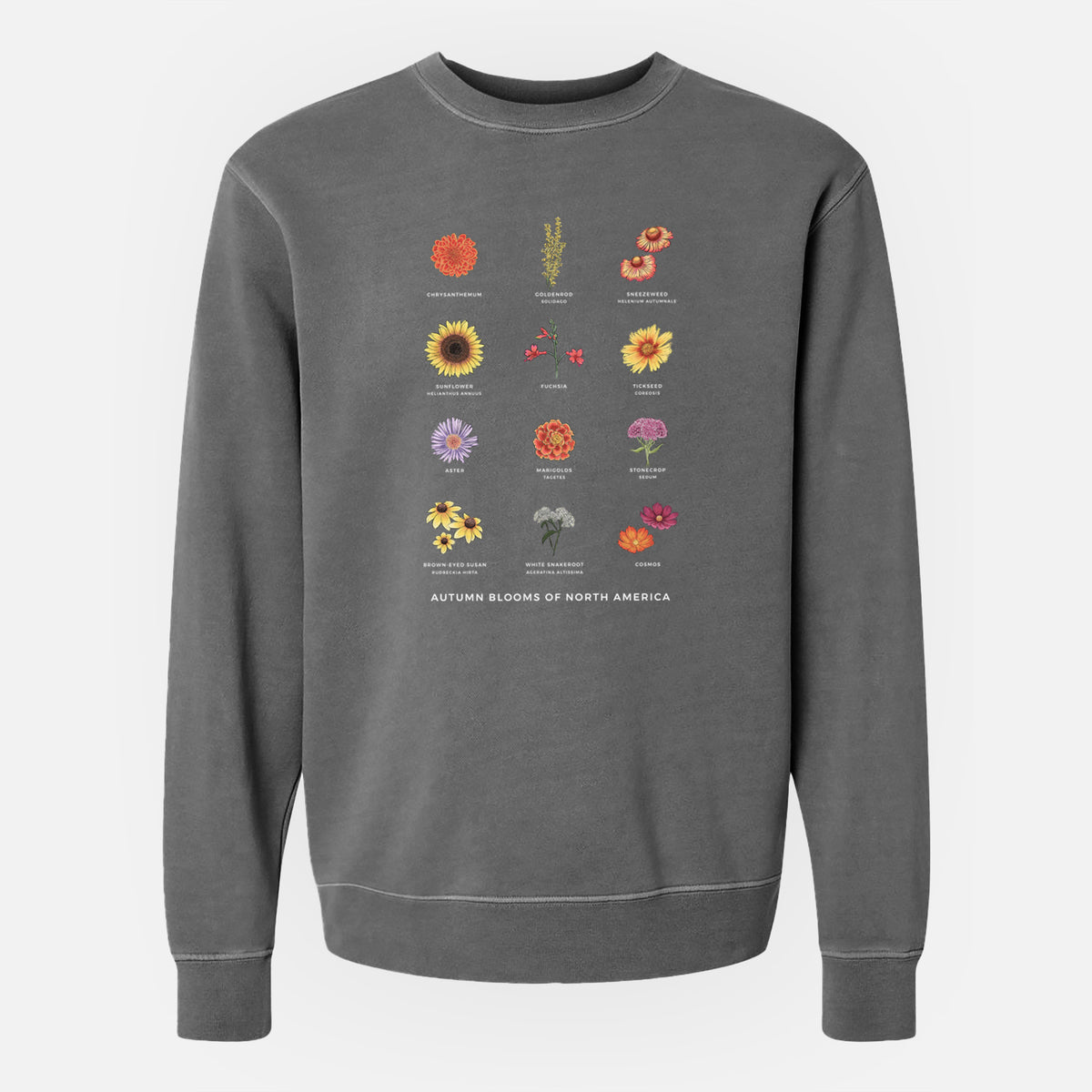 Autumn Blooms of North America - Unisex Pigment Dyed Crew Sweatshirt