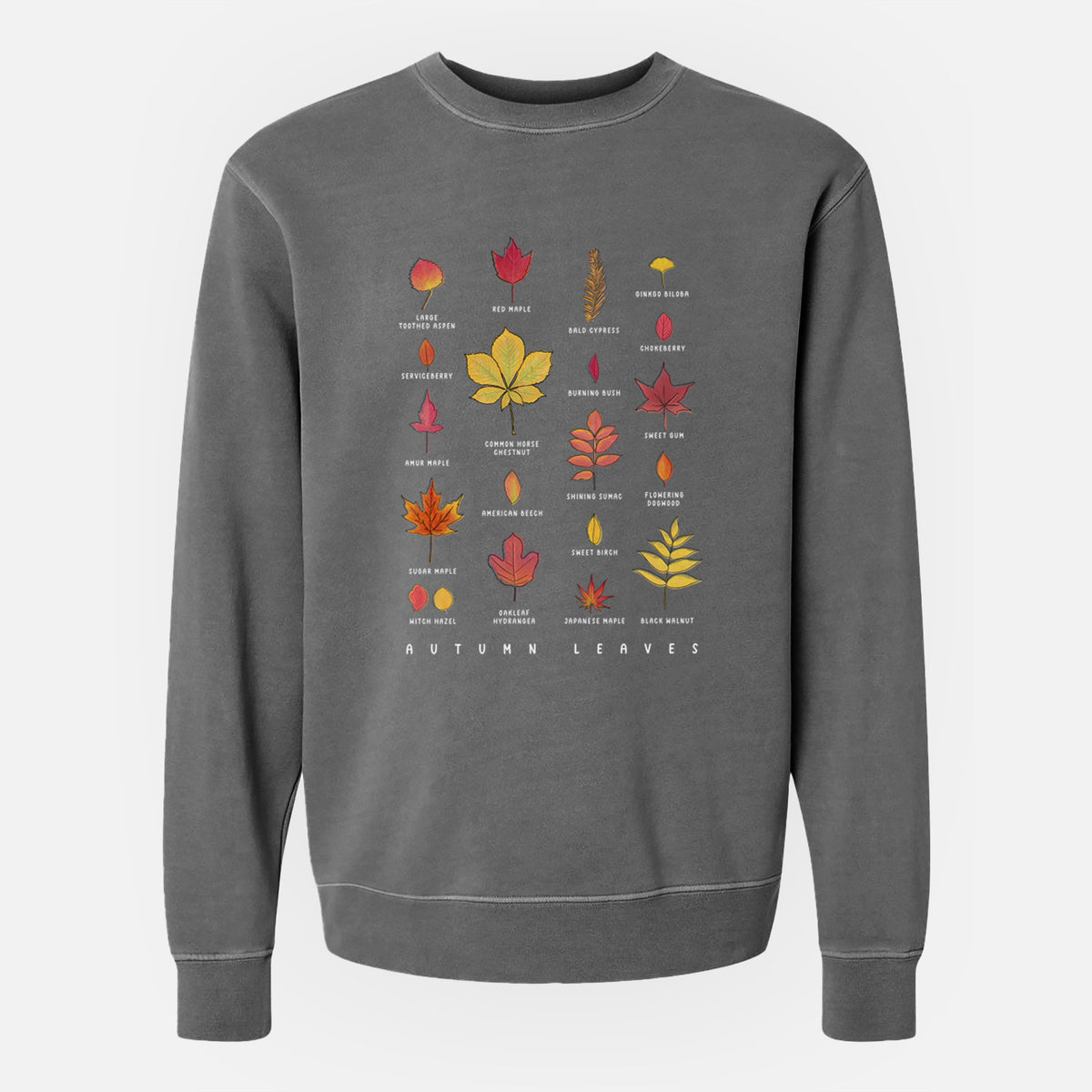 Vibrant Autumn Leaves Chart - Unisex Pigment Dyed Crew Sweatshirt