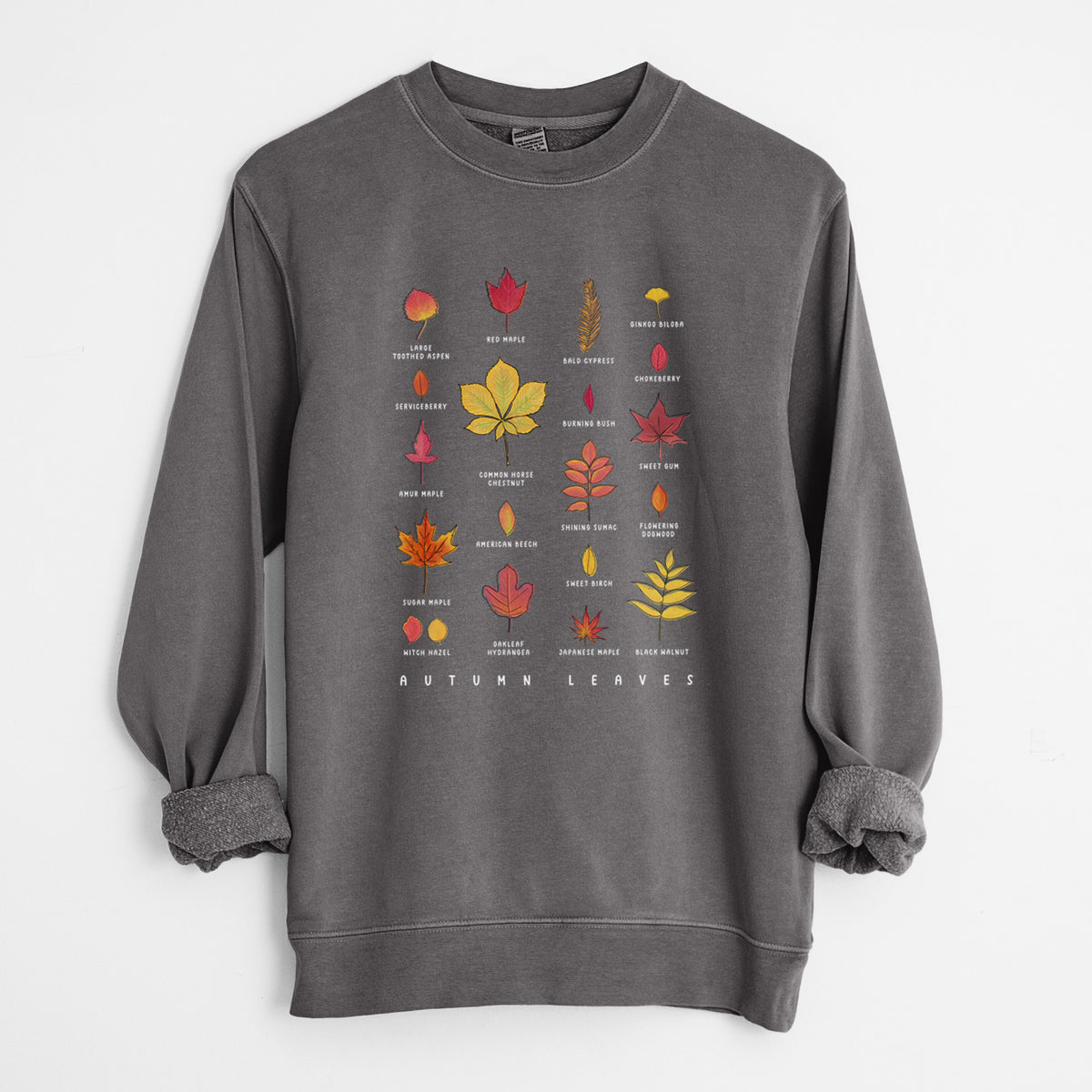 Vibrant Autumn Leaves Chart - Unisex Pigment Dyed Crew Sweatshirt